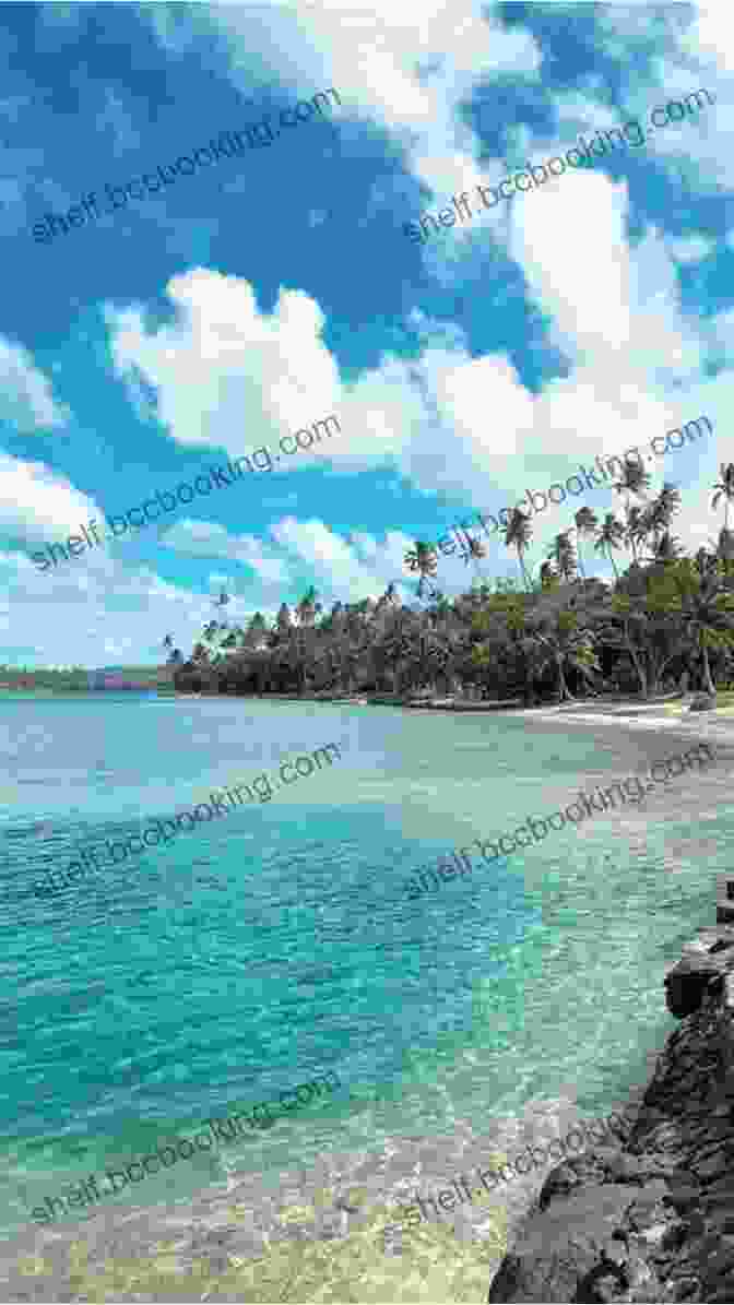 A Breathtaking View Of A Pristine Beach In Fiji, With Crystal Clear Waters And Lush Tropical Vegetation. Love Loss And Fiji Time