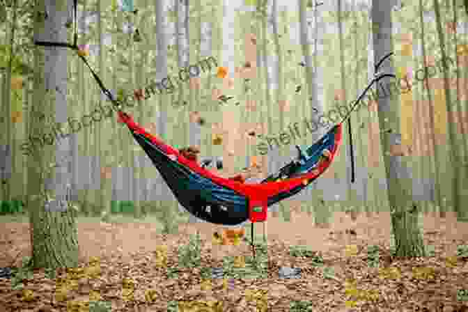 A Cozy Hammock Suspended Between Trees, Crafted With Paracord Paracord Projects For Camping And Outdoor Survival: Practical And Essential Uses For The Ultimate Tool In Your Pack