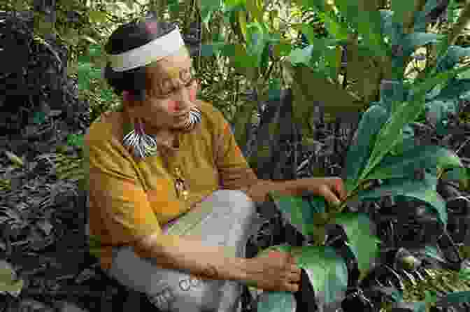 A Group Of Indigenous Villagers Gathering Medicinal Plants In The Jungle Sidewalks In The Jungle: What It S REALLY Like To Live And Retire In Costa Rica