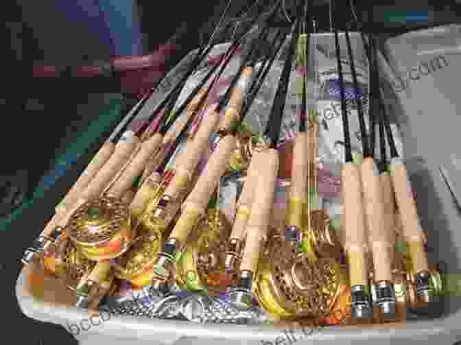 Anglers Selecting Rods, Reels, And Lures Plug Fishing For River Salmon