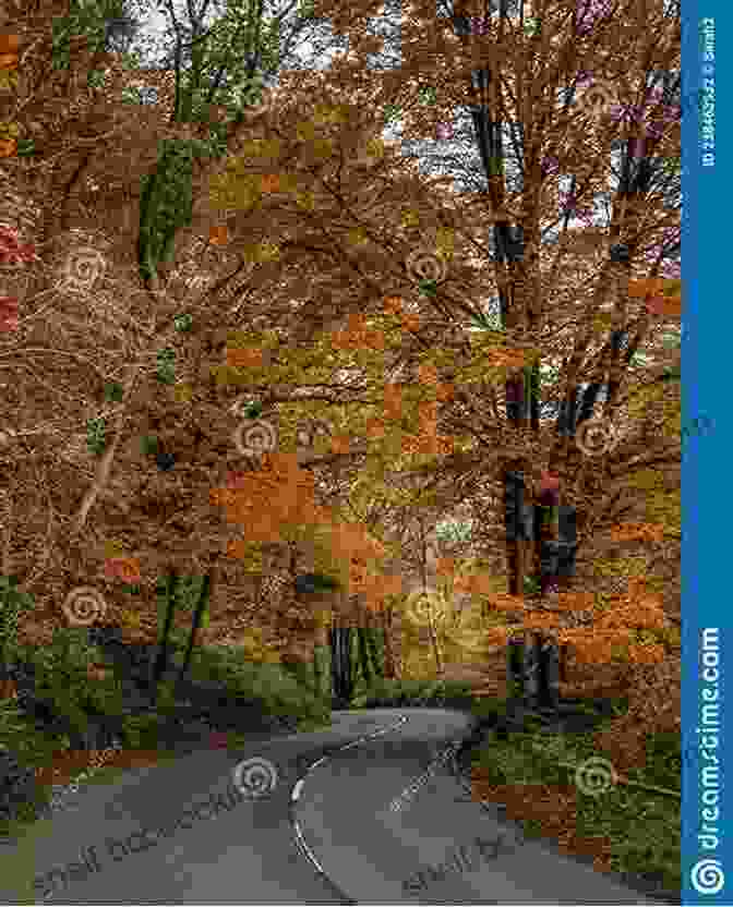 Autumn Woodland In Devon, England, With Colorful Leaves And A Winding Path Dream Cottage: Four Seasons In Devon By The Sea On The Southwest Coast Of England: Part One Christmas