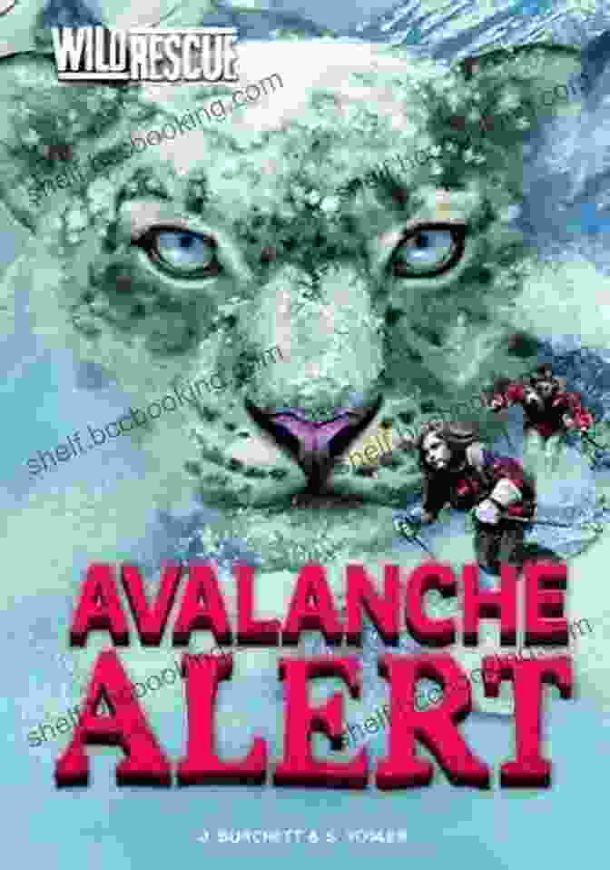 Avalanche Alert: Wild Rescue Adventure Avalanche Alert (Wild Rescue 7)