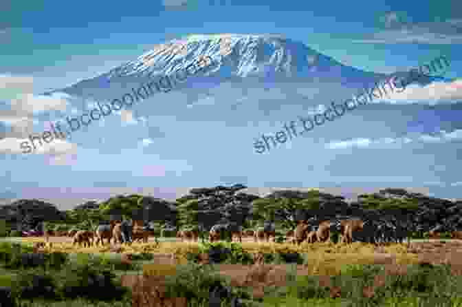 Barren Alpine Desert On The Upper Slopes Of Mount Kilimanjaro The Call Of Kilimanjaro: Finding Hope Above The Clouds