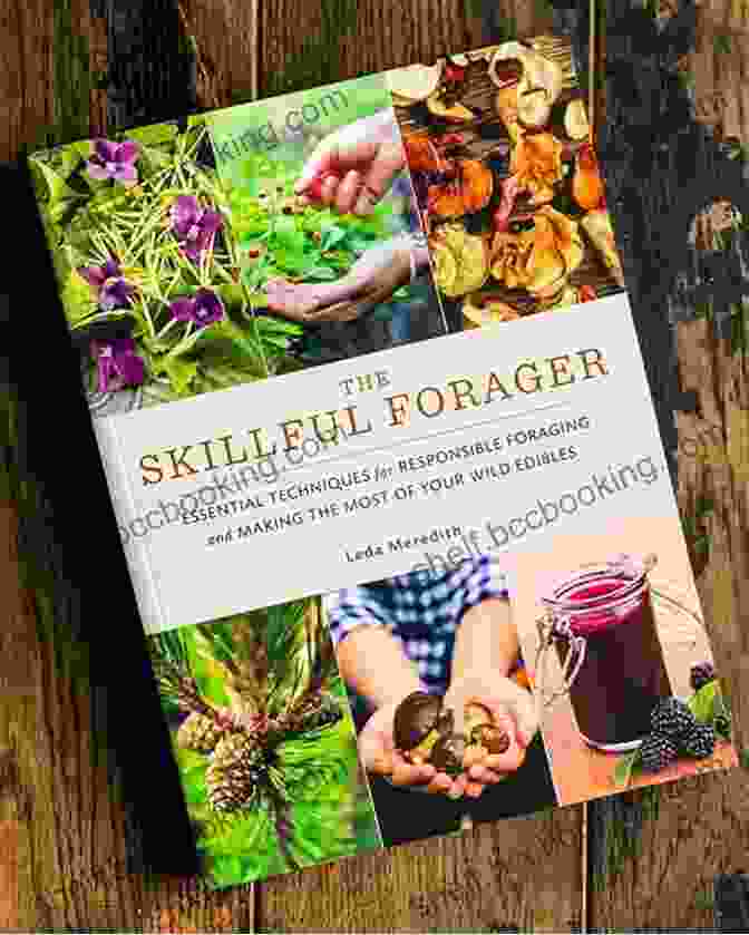 Book Cover Of Forager Life, Featuring A Photo Of A Woman Foraging In A Forest A Forager S Life: Reflections On Mother Nature And My 70+ Years Of Digging Picking Gathering Fixing And Feasting On Wild Edible Foods