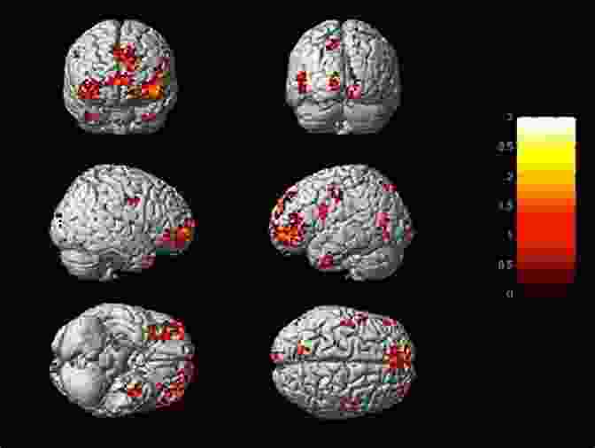 Brain Scans Showing Activity During Acting Acting Archetype And Neuroscience: Superscenes For Rehearsal And Performance