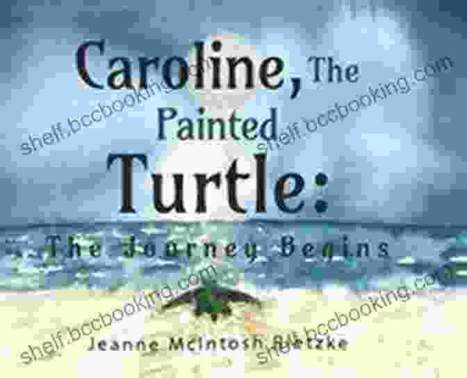 Caroline The Painted Turtle The Journey Begins Book Cover Caroline The Painted Turtle: The Journey Begins