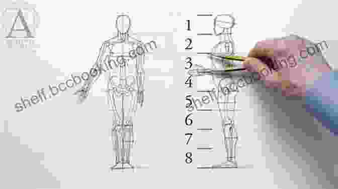 Chapter 4: The Human Form: A Study In Anatomy And Proportion Drawing For Beginners: How To Draw And Shade For Realism