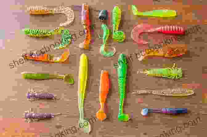 Close Up Of Various Fishing Baits Teach Your Kid To Fish When YOU Don T Know How