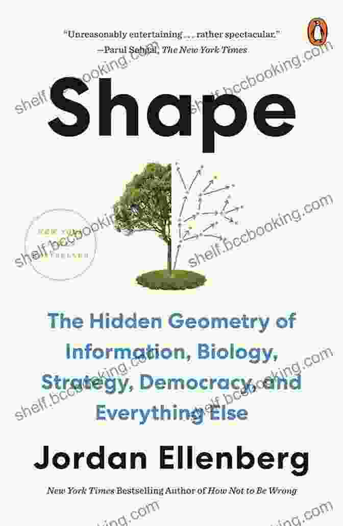 Cover Image Of The Hidden Geometry Of Information Biology Strategy Democracy And Everything Shape: The Hidden Geometry Of Information Biology Strategy Democracy And Everything Else