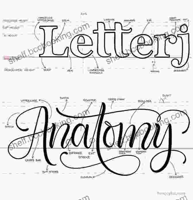 Diagram Illustrating The Anatomy Of A Hand Lettered Alphabet Lettering Alphabets Artwork: Inspiring Ideas Techniques For 60 Hand Lettering Styles