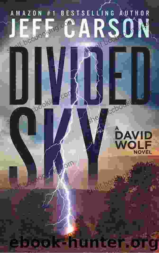 Divided Sky Book Cover Featuring A Silhouette Of A Man Standing In A Field Beneath A Vast, Starlit Sky Divided Sky (David Wolf Mystery Thriller 13)