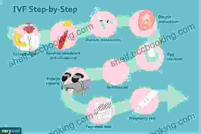 Image Of An IVF Procedure The Impatient Woman S Guide To Getting Pregnant