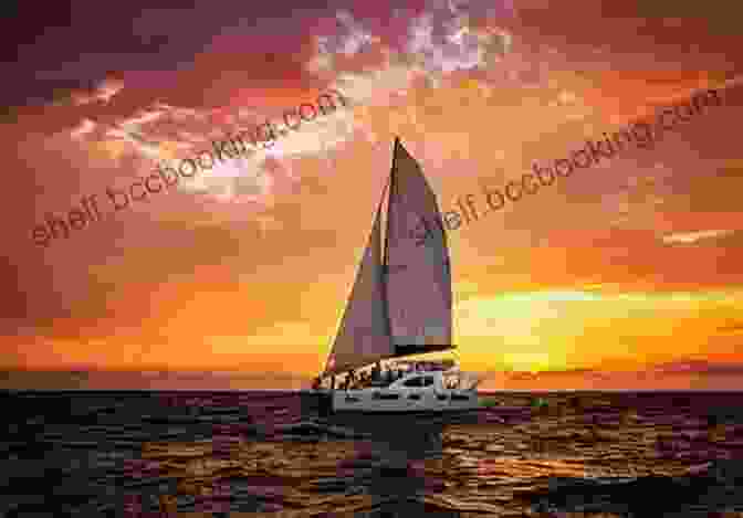 Indulge In A Romantic Sunset Sail On A Private Yacht Puerto Vallarta Puerto Vallarta (Adventures With Teo Aventuras Con Teo 4)