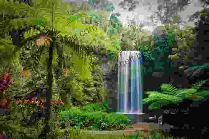 Lush Greenery And Cascading Waterfalls In The Daintree Rainforest ROAD TRIP AROUND OZ IN 61 DAYS: DISCOVERING THE TREASURES OF AUSTRALIA