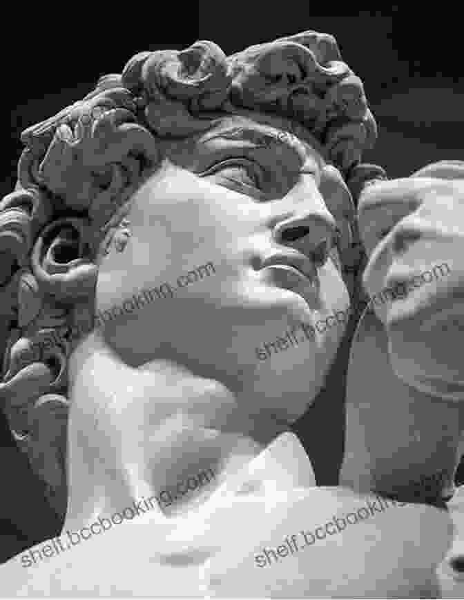 Michelangelo's David, A Cultural Icon Stone Giant: Michelangelo S David And How He Came To Be