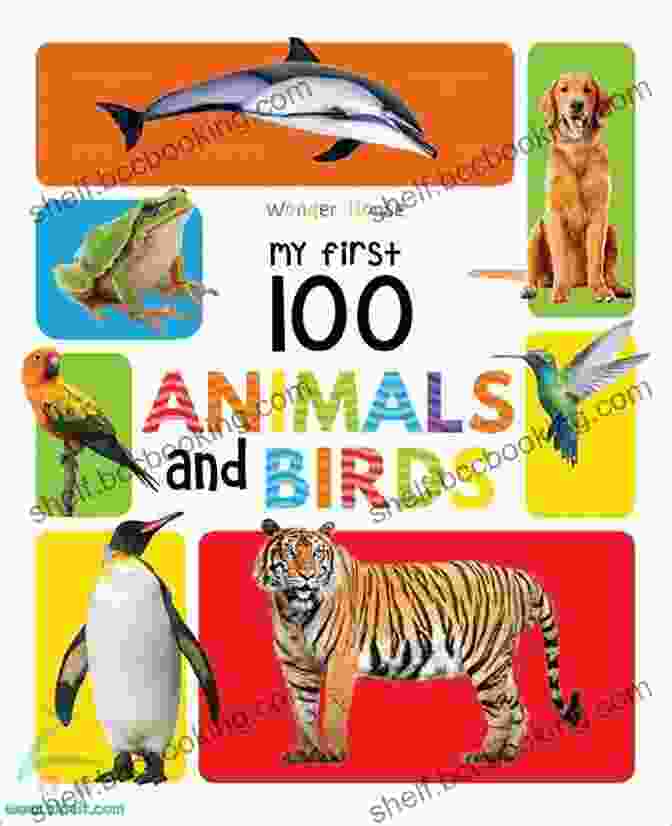 My First 100 Animals And Birds Book Cover My First 100 Animals And Birds