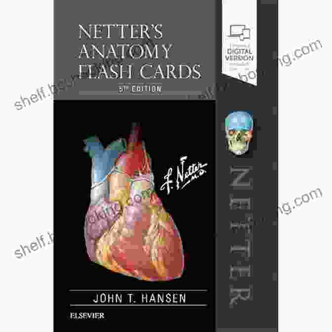 Netter Anatomy Flash Cards: Netter Basic Science Card Example Netter S Anatomy Flash Cards E (Netter Basic Science)