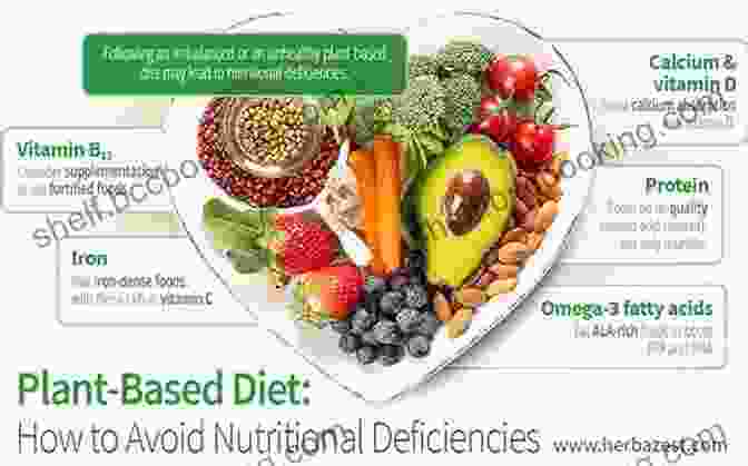 Nutritional Deficiencies Associated With The Plant Based Diet The Great Plant Based Con: Why Eating A Plants Only Diet Won T Improve Your Health Or Save The Planet