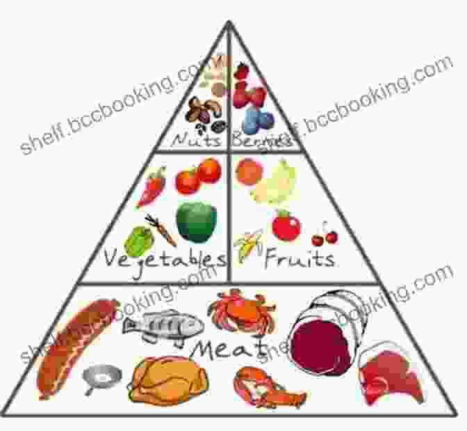 Paleo Diet Food Pyramid Illustrating Different Food Groups Like Fruits, Vegetables, Nuts, Seeds, And Lean Protein Paleo Diet For Beginners: What Is Paleo? Ultimate Paleo Guide Recipes And Diet Plan