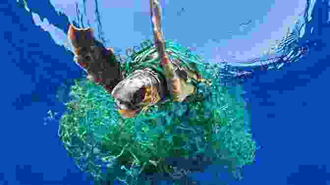 Sea Turtle Entangled In Plastic Sea Turtles Sea Turtle For Kids Fun Facts And Sensational Full Color Pictures