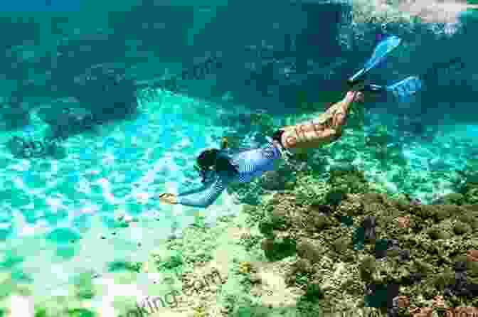 Snorkeling Amidst A Kaleidoscope Of Marine Life In Crystal Clear Waters Puerto Vallarta Puerto Vallarta (Adventures With Teo Aventuras Con Teo 4)
