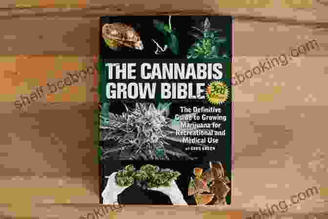 Steps To Grow Cannabis Book Cover 7 Steps To Grow Cannabis: A Complete Beginner S Guide To Growing Cannabis Indoors