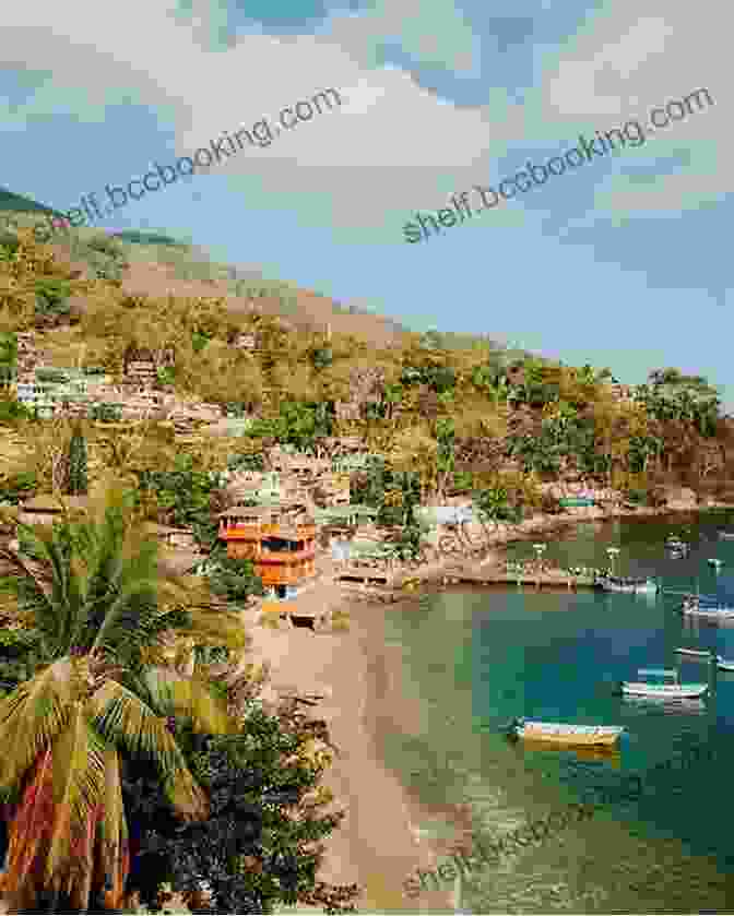 The Vibrant Community Of Yelapa, Mexico, Known For Their Warm Hospitality And Dedication To Conservation Efforts The Dogs Of Yelapa Los Perros De Yelapa (Adventures With Teo Aventuras Con Teo)
