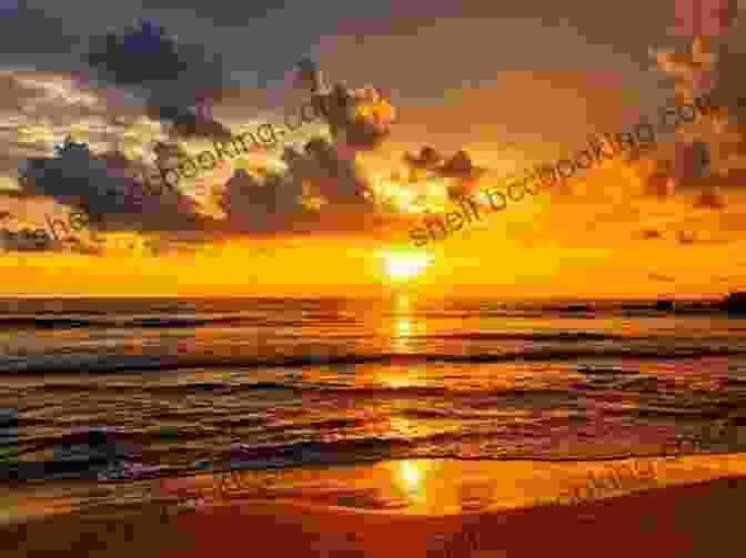 Tranquil Beach Sunset With Vibrant Hues Of Orange And Pink Moon Olympic Peninsula: Coastal Getaways Rainforests Waterfalls Hiking Camping (Travel Guide)