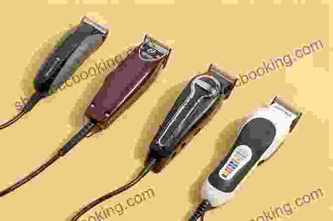 Types Of Hair Clippers BEGINNERS GUIDE TO USING BEST HAIR CLIPPERS: This Article Affords A Step By Step Data On How To Decrease Hair With Clippers Ensuing In A Professional Looking Stylish Finish