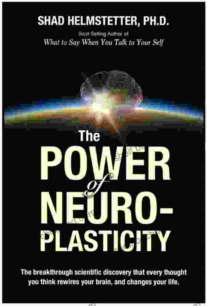 Unlock The Power Of Neuroplasticity With Brain Drops Brain Drops Jeannie Tyrrell