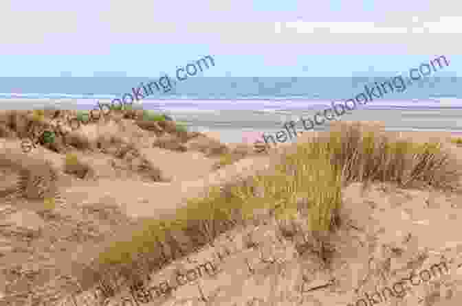 Winter Beach In Devon, England, With Windswept Dunes And Crashing Waves Dream Cottage: Four Seasons In Devon By The Sea On The Southwest Coast Of England: Part One Christmas