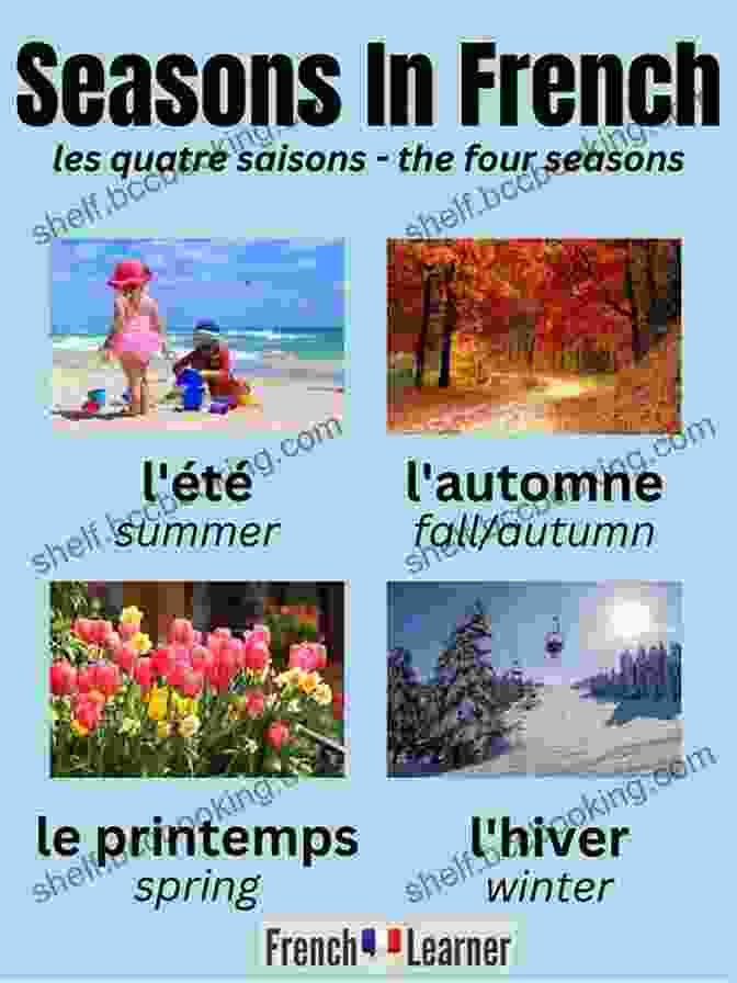 Winter In France France In Four Seasons: More Tales From My French Village (Tout Sweet 5)