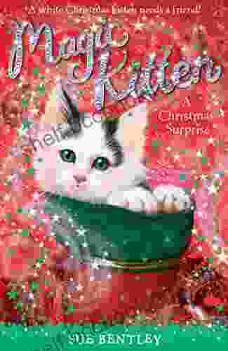 A Christmas Surprise (Magic Kitten 4)