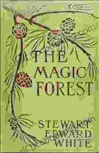 The Magic Forest Stewart Edward White