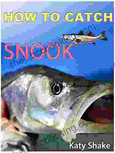 How To Catch Snook (Correct Times)
