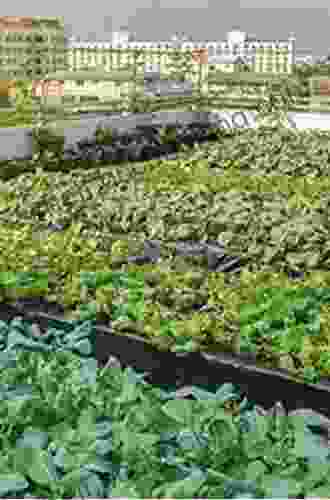 Rooftop Urban Agriculture Rakesh V Vohra