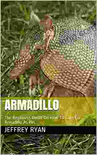ARMADILLO: The Beginners Guide On How To Care For Armadillo As Pet