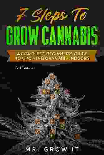 7 Steps To Grow Cannabis: A Complete Beginner S Guide To Growing Cannabis Indoors