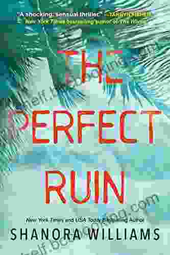 The Perfect Ruin: A Riveting New Psychological Thriller