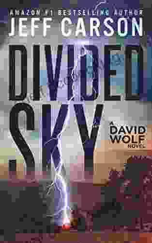 Divided Sky (David Wolf Mystery Thriller 13)