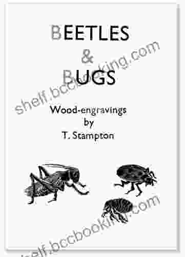 Beetles Bugs Susan Kesler Simpson